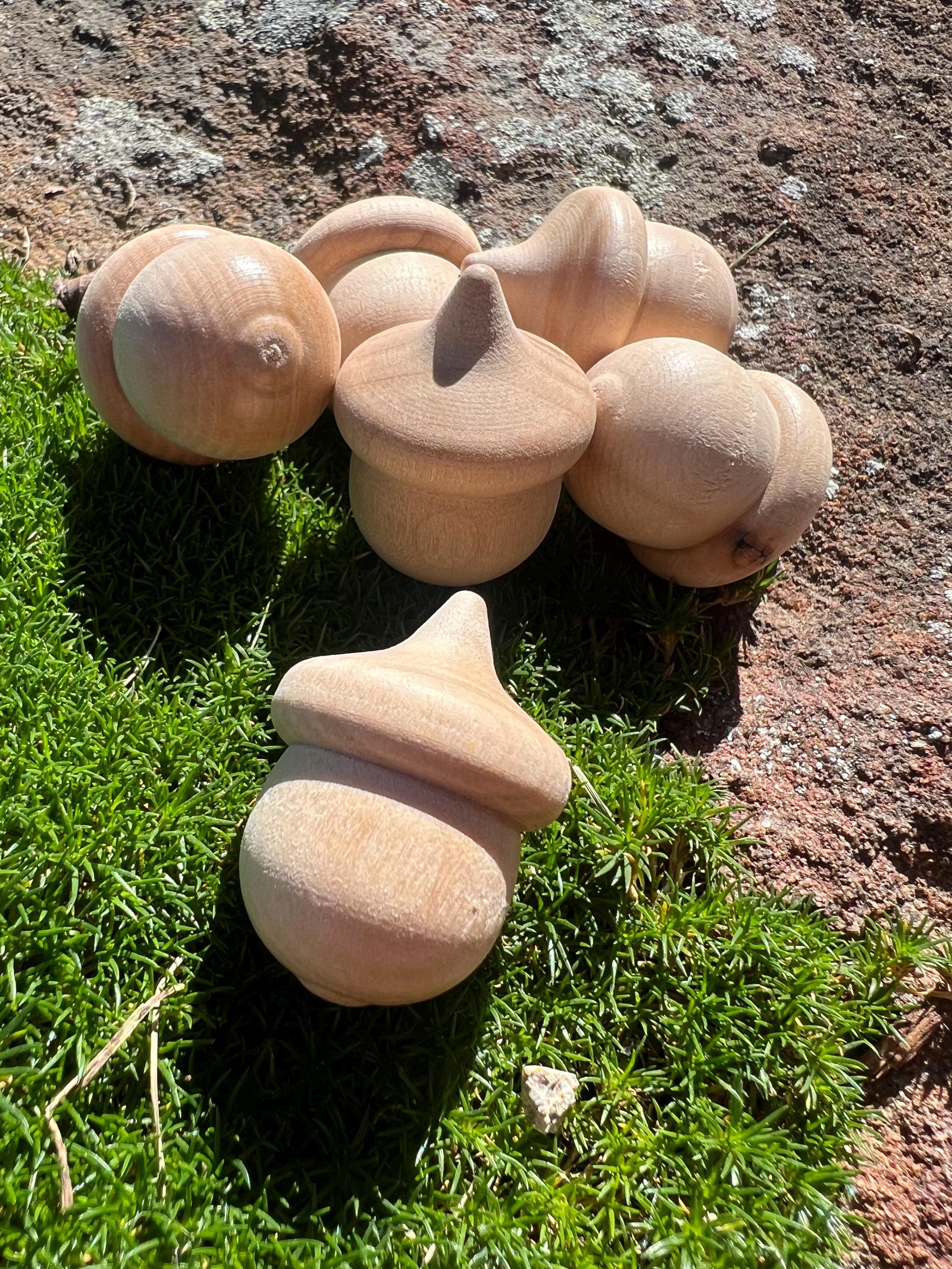 Unfinished Wood Acorn – 100pack Fall Craft Supply Set